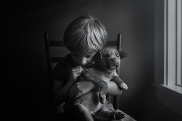 Little Friend