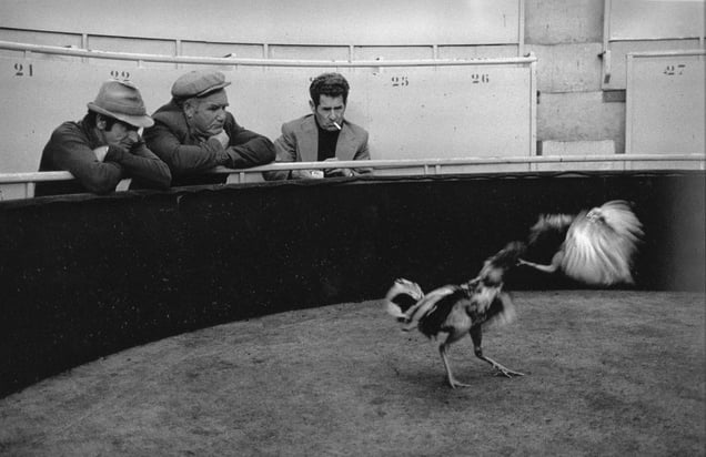Puerto de Santa Maria, 1978 © Fernando Herraez