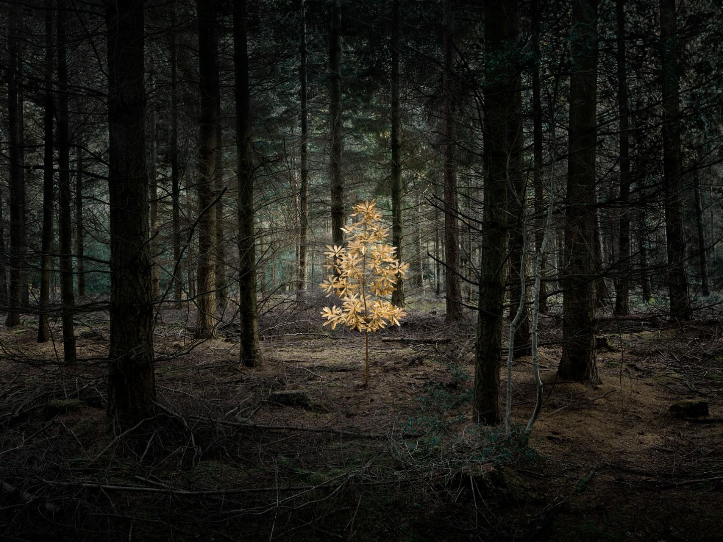 Smoke and Mirrors, 2010