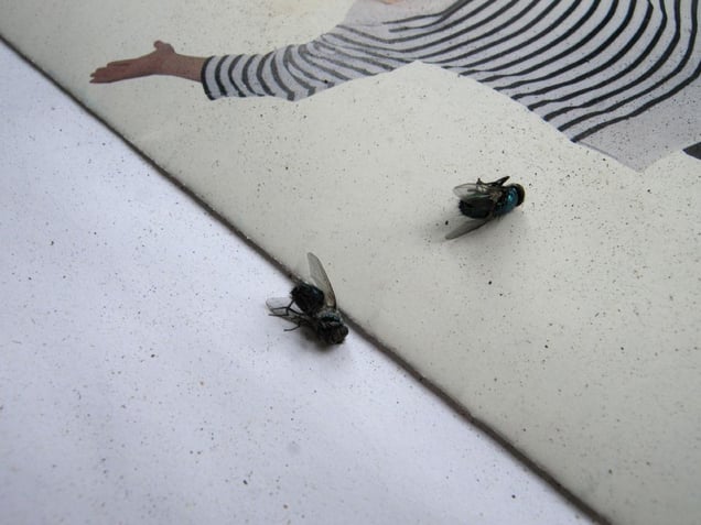 Susan Weil's studio © 2007 Christopher Rauschenberg