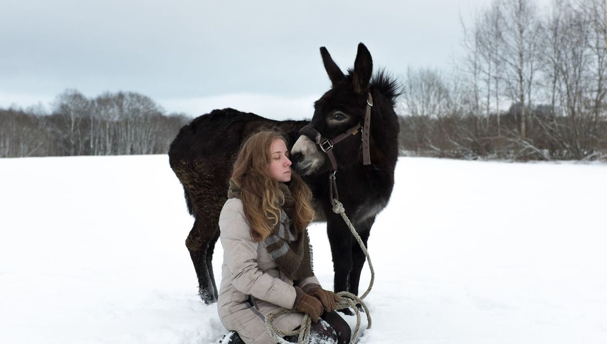 Lisa (volunteer) with a donkey on a walk.