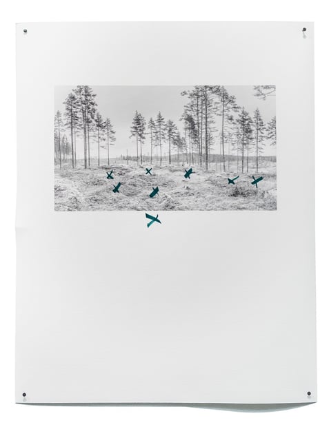 Forest Notes and Errors, 2016