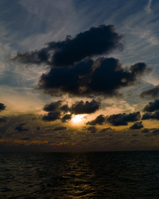 From the photo story, Wijk