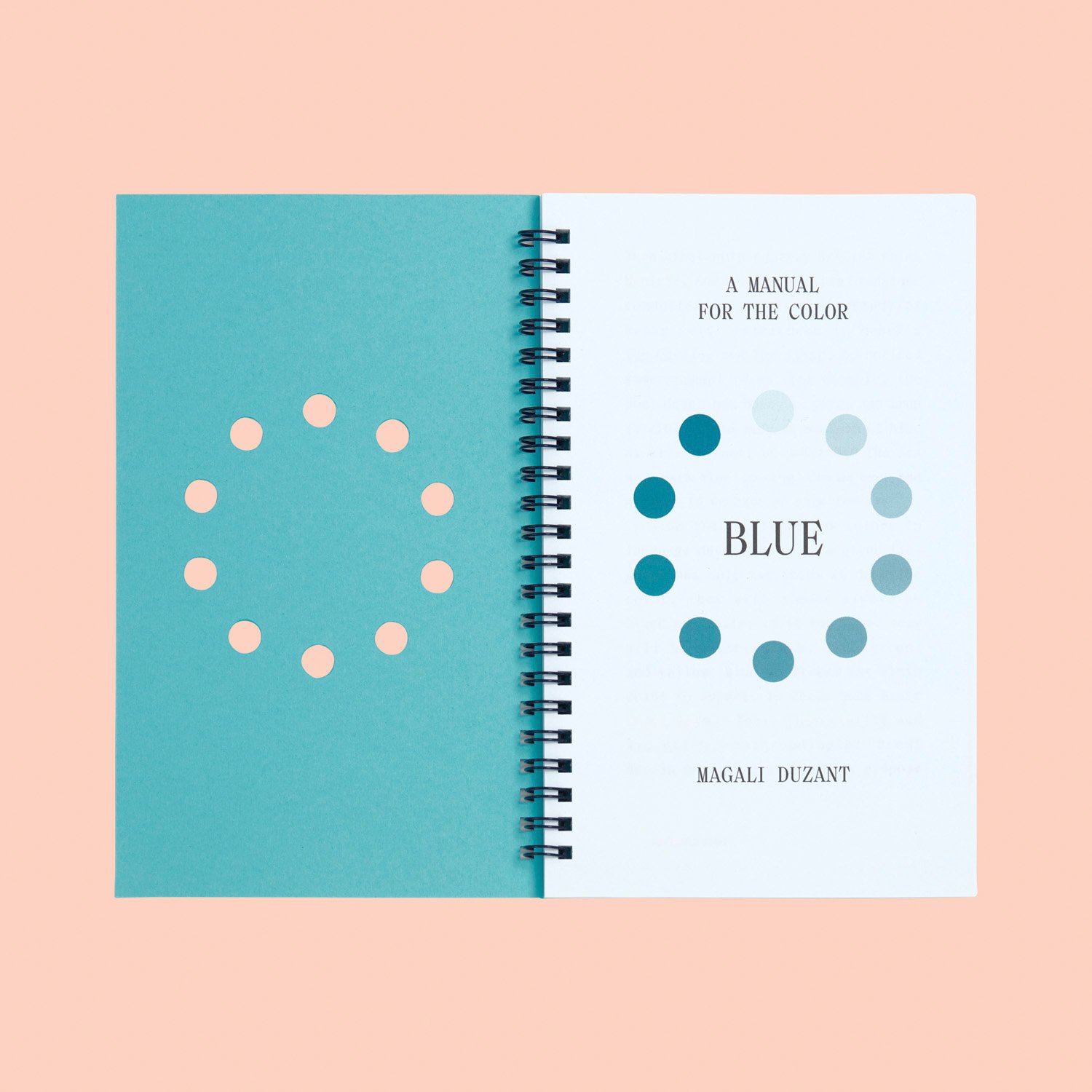 Light Blue Desire : A Manual For The Color Blue