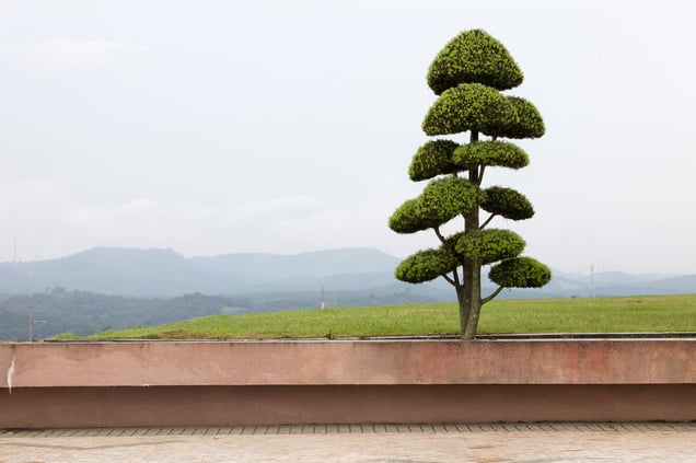 All By Myself, Putrajaya, Malaysia