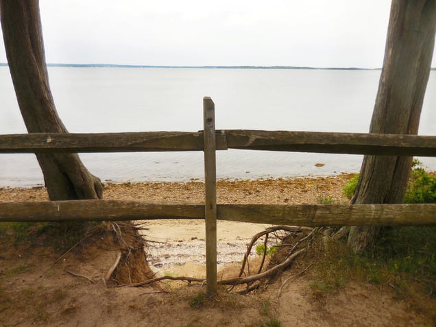 Cedar Point Bluff Fence