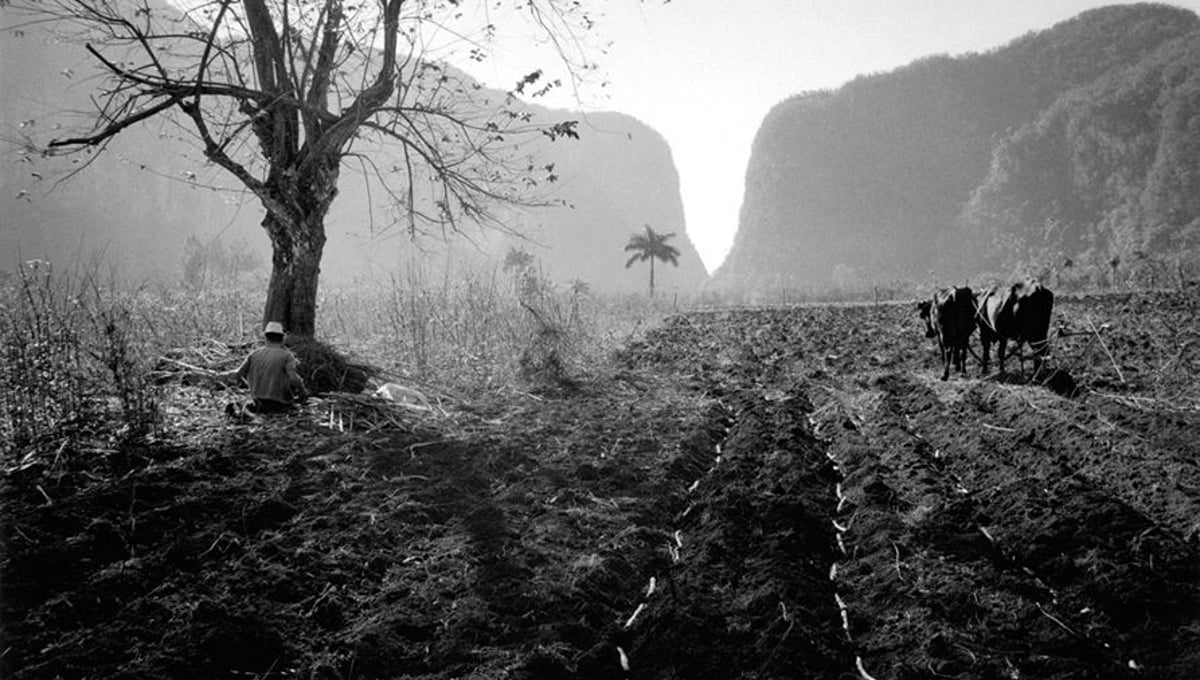 Sugarcane trail © Susan S. Bank