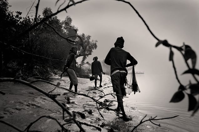 A father, son, and uncle cast their net to catch fish at dawn. Sunderban, Satkhira. © Munem Wasif/VU'
