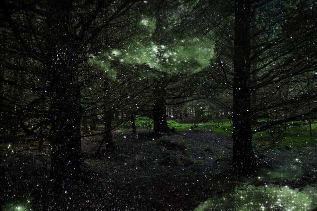 Stars 3. Showing at Crane Kalman Brighton. Courtesy of Photo London.