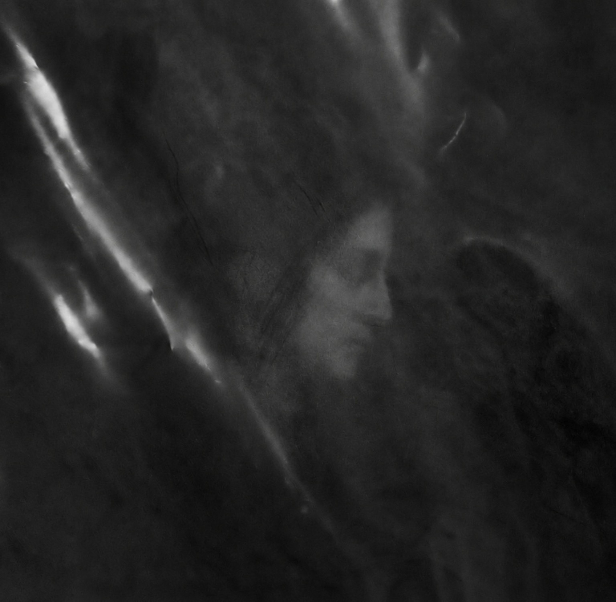 Dreaming awake