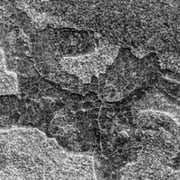 Gin Rimmington Jones