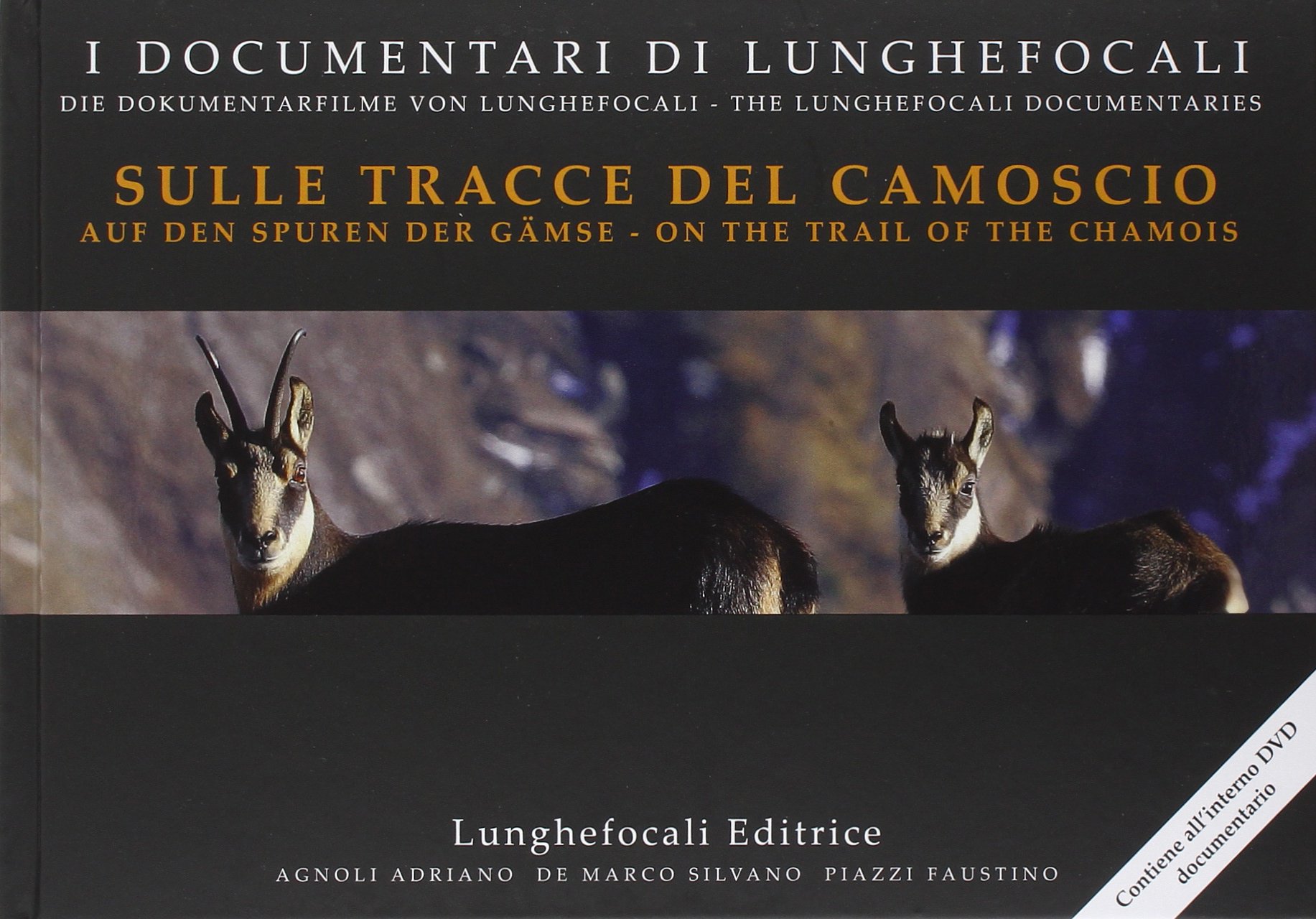 Sulle tracce del camoscio