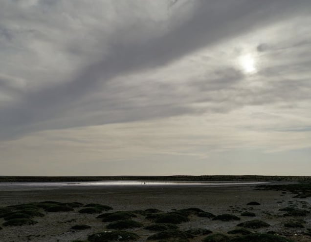 The Aral Sea VI (After Robert Adams), Kazakhstan 2011 © Nadav Kander