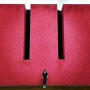 Fabiola Antonini Chavier