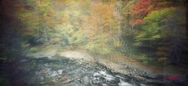 Fukushima, invisible pain