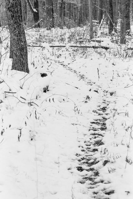 Deer Trail, 2025