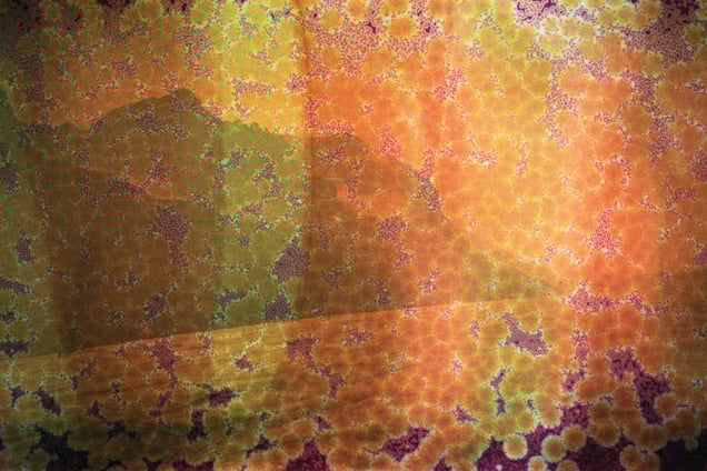 Mount Andromeda and Athabasca Glacier