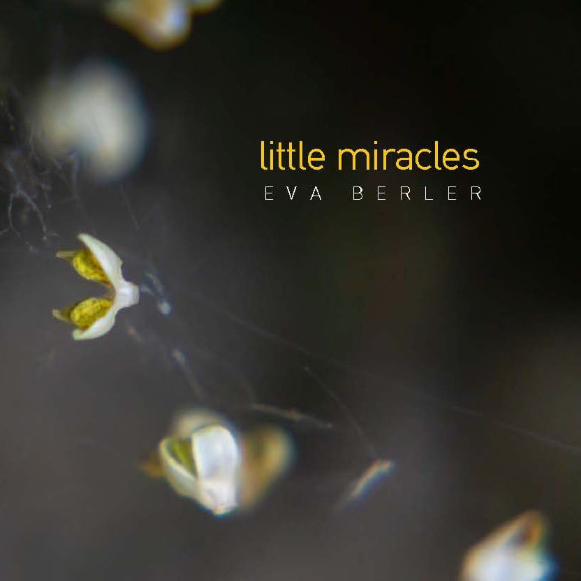 little miracles