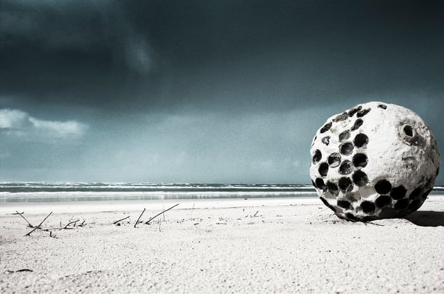 WHITE PLANET | After the Future