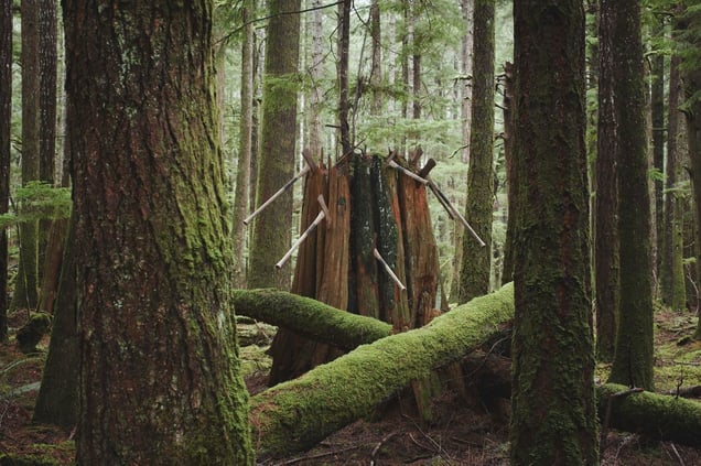 Installation 5, Double Bit Axe