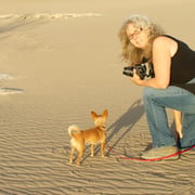 Cheryl McDonald