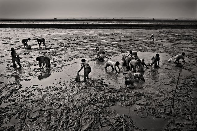 Young children look for small fish in the mud. Vamia, Satkhira. © Munem Wasif/VU'