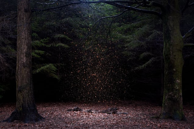 Stars 8. Showing at Crane Kalman Brighton. Courtesy of PhotoLondon.