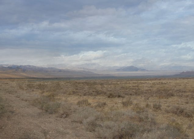 4 Years out of a Death Row Sentence (Desert) © Amy Elkins