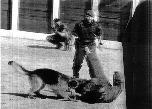 TAUROMAQUIA. Spain, 2013