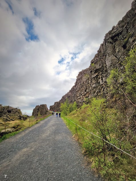 The national park