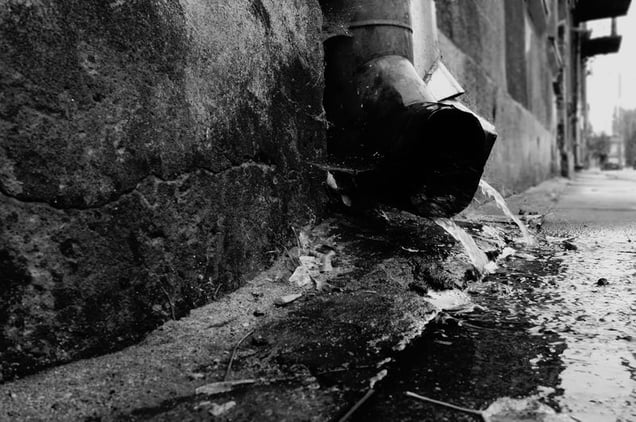 From the series "Ida: Sketches" © Ryszard Lenczewski