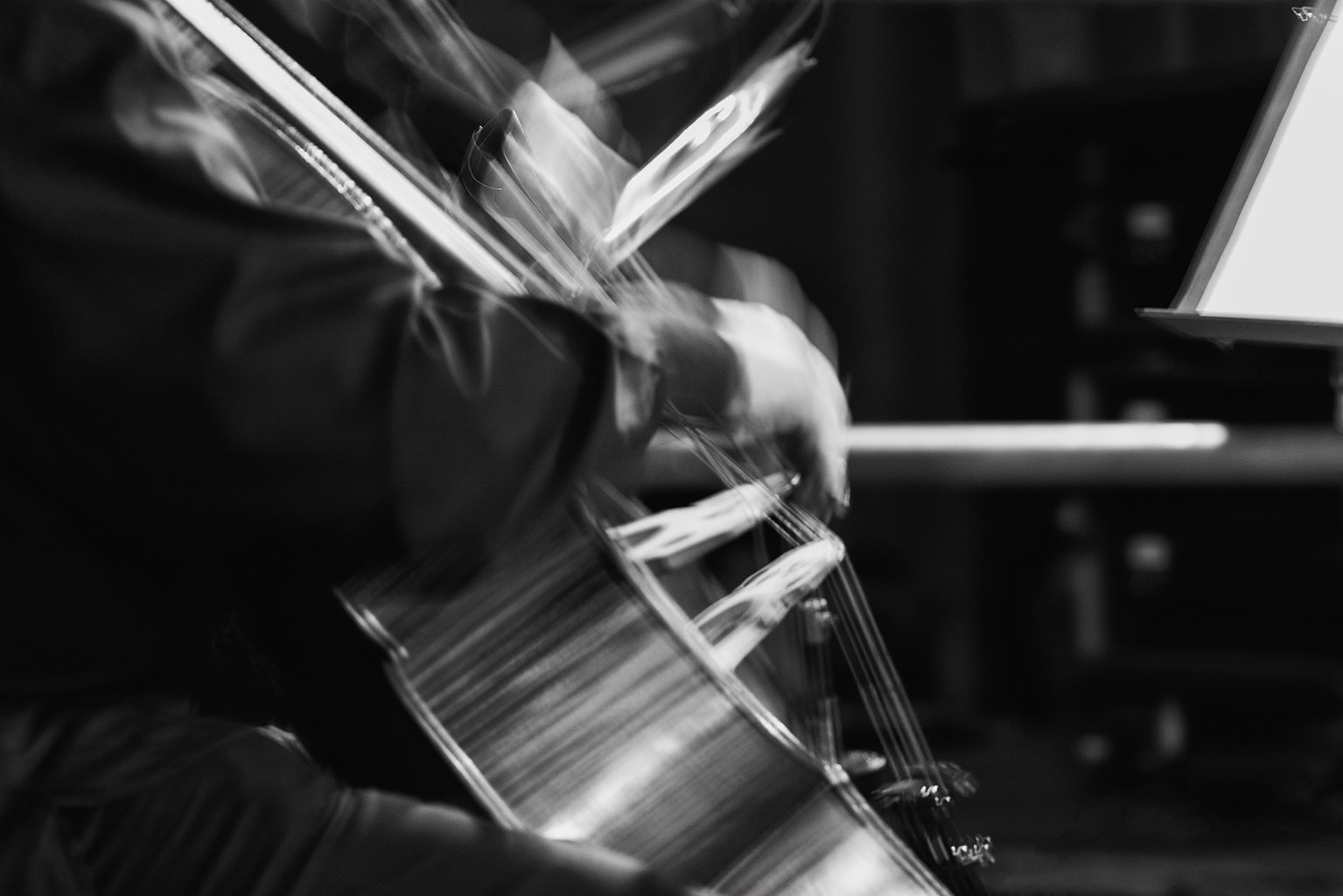 Violini, trittico bw