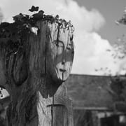 sally smith