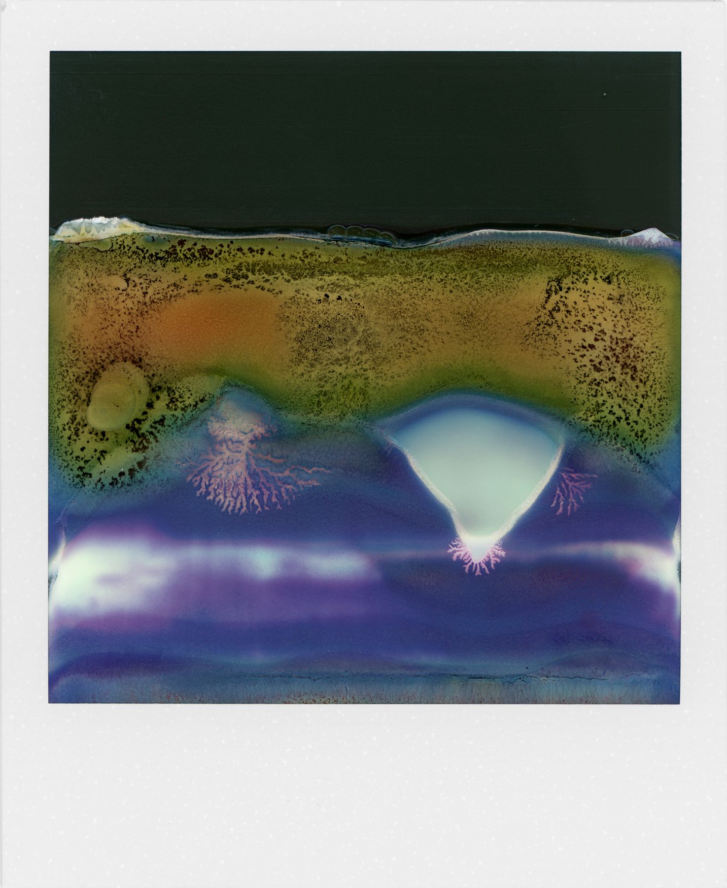 Ruined Polaroids - Photographs and text by William Miller
