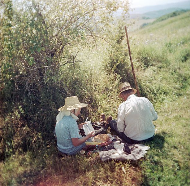 Dream about Motherland