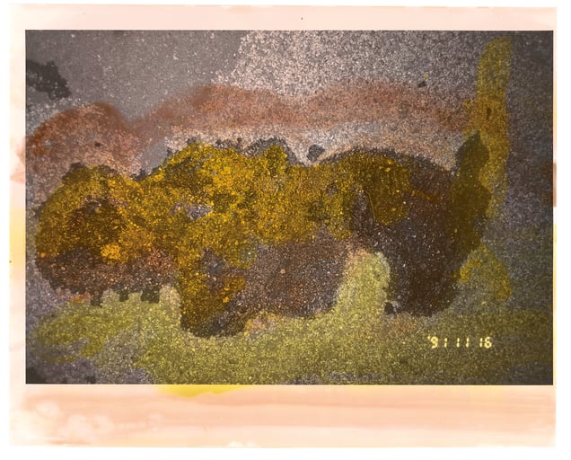 From the photobook, Hibi