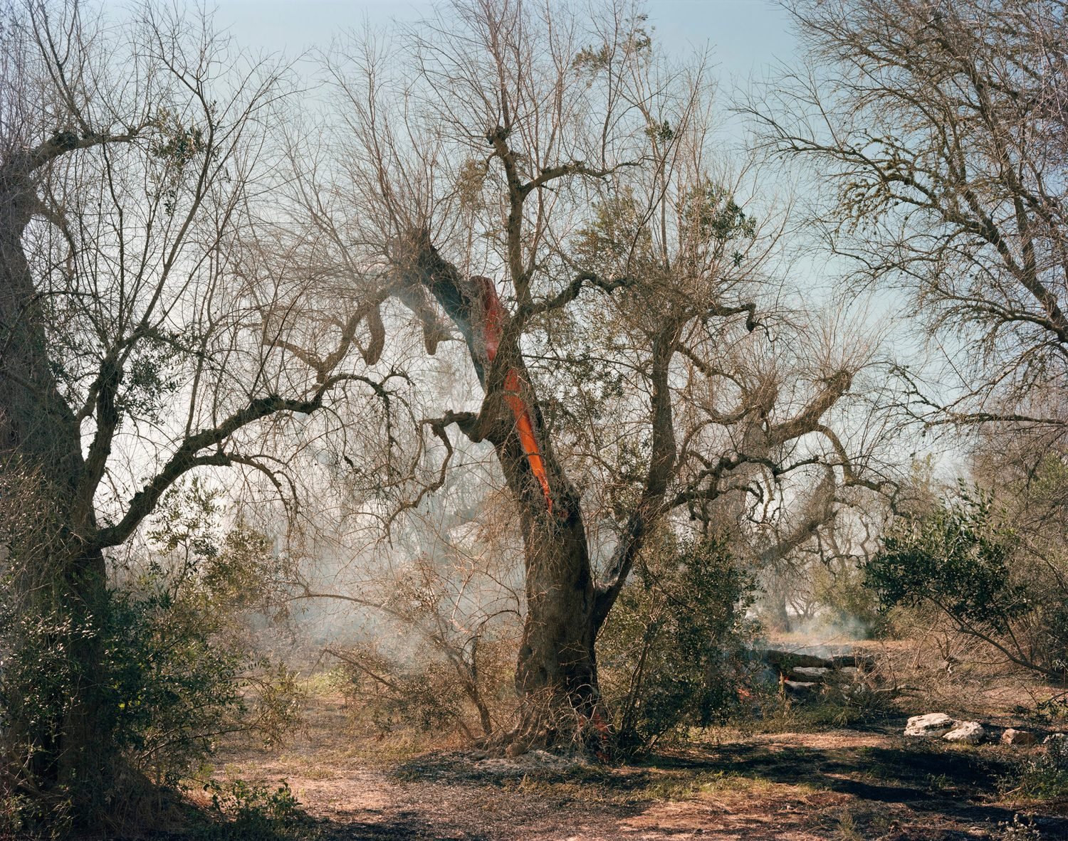 winner of photography awards