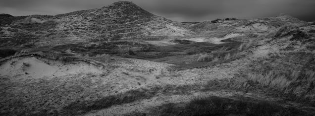 Southern Bergen Dunes
