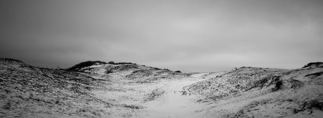 Bergen dunes