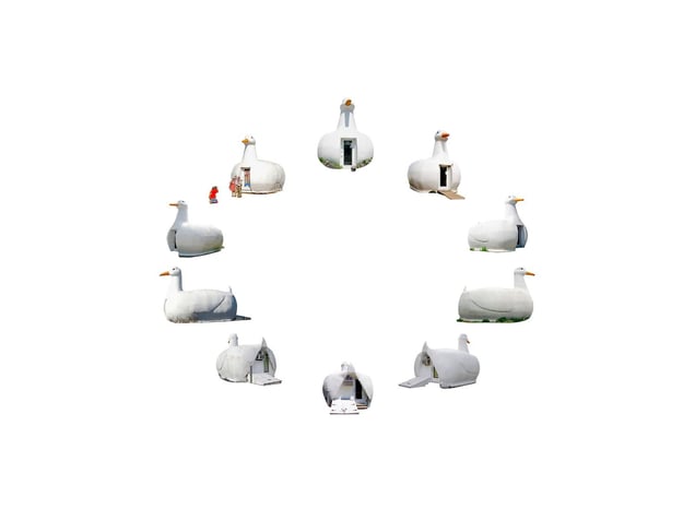 Duck teleportation: phase 2, 2014. Research photos for the DUCK, A Theory of Evolution project. Courtesy of Olivier Cablat.