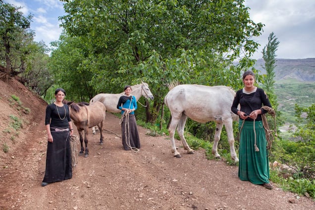 The Sisters and Horses.