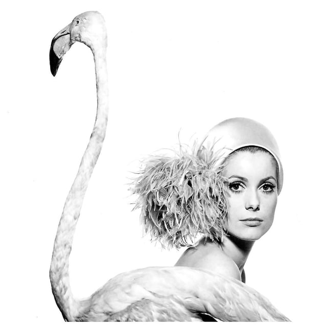 Catherine Deneuve, 1968 © David Bailey