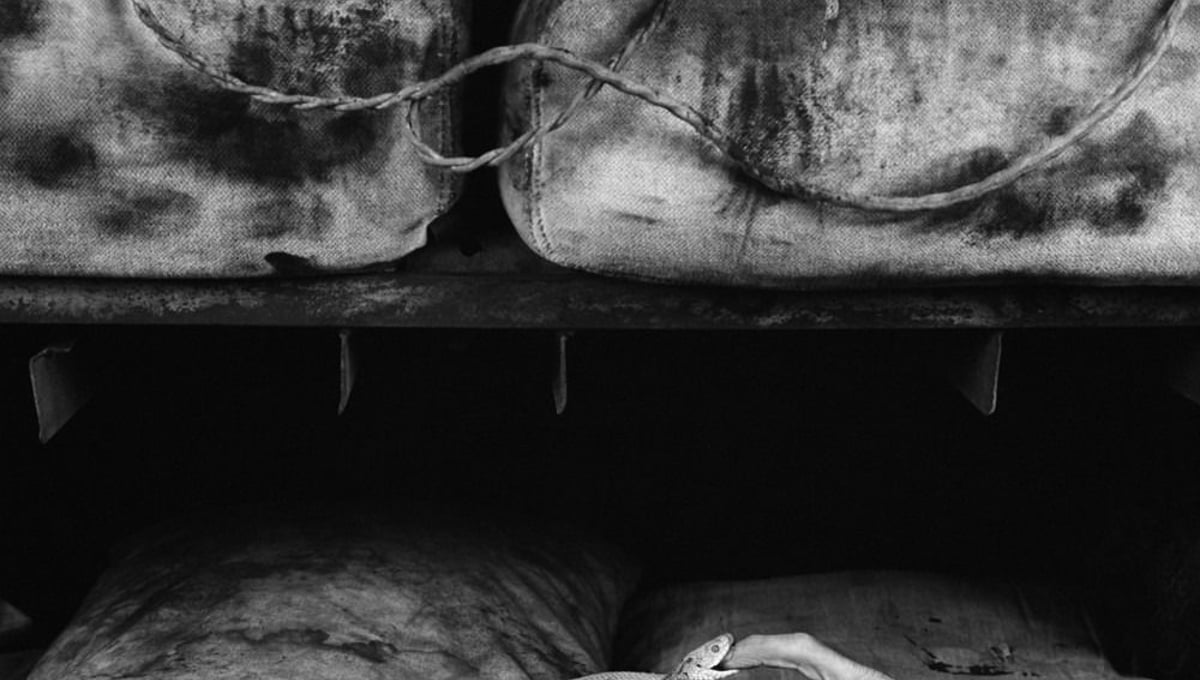 Bite, 2007 © Roger Ballen