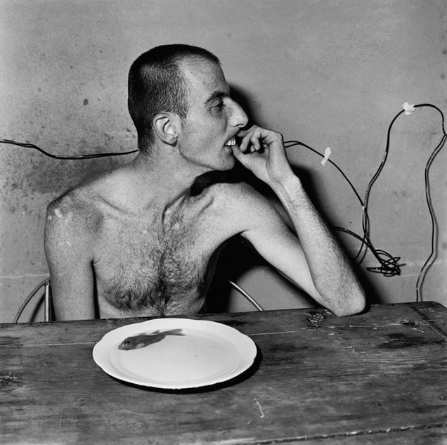 Lunchtime, 2001 © Roger Ballen