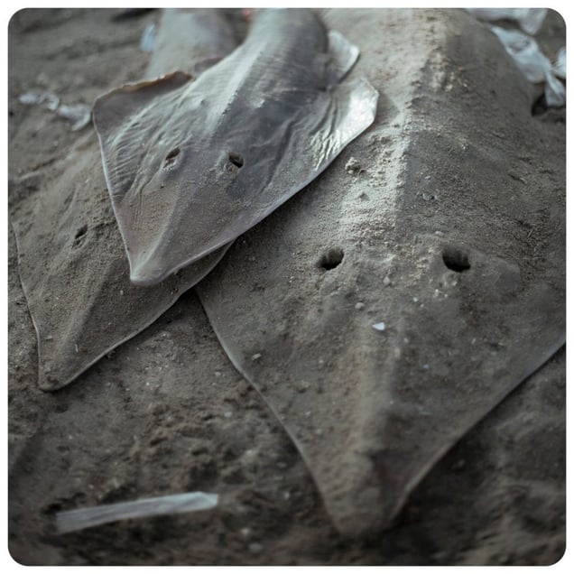 From the series "Afronauts" © Cristina De Middel