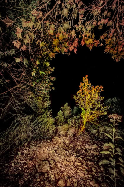 Mother Nature Is Watching You