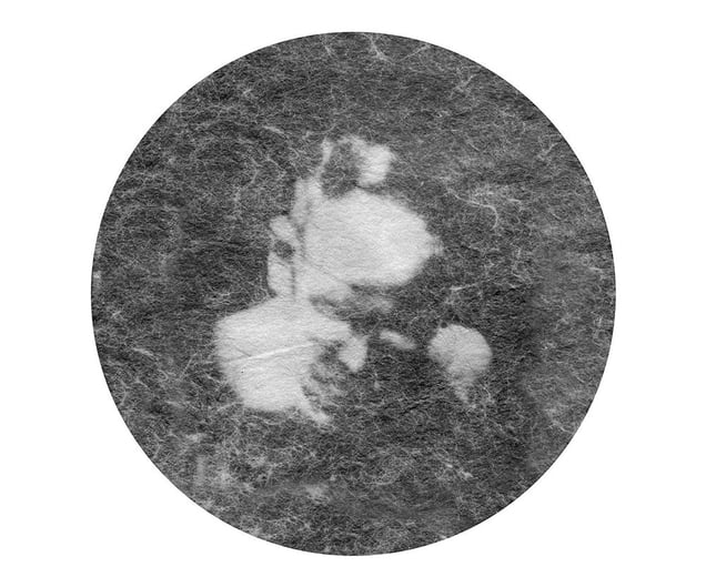 Monsoon Portrait #12 © Hans Gindlesberger