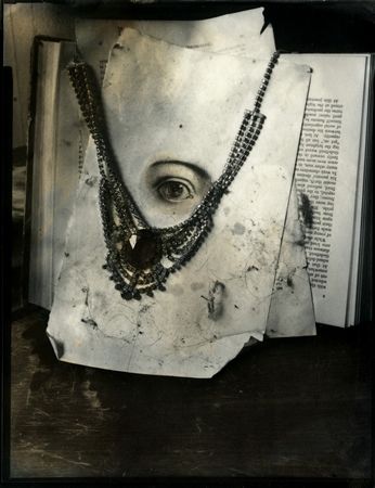 Photographic notes from a madhouse