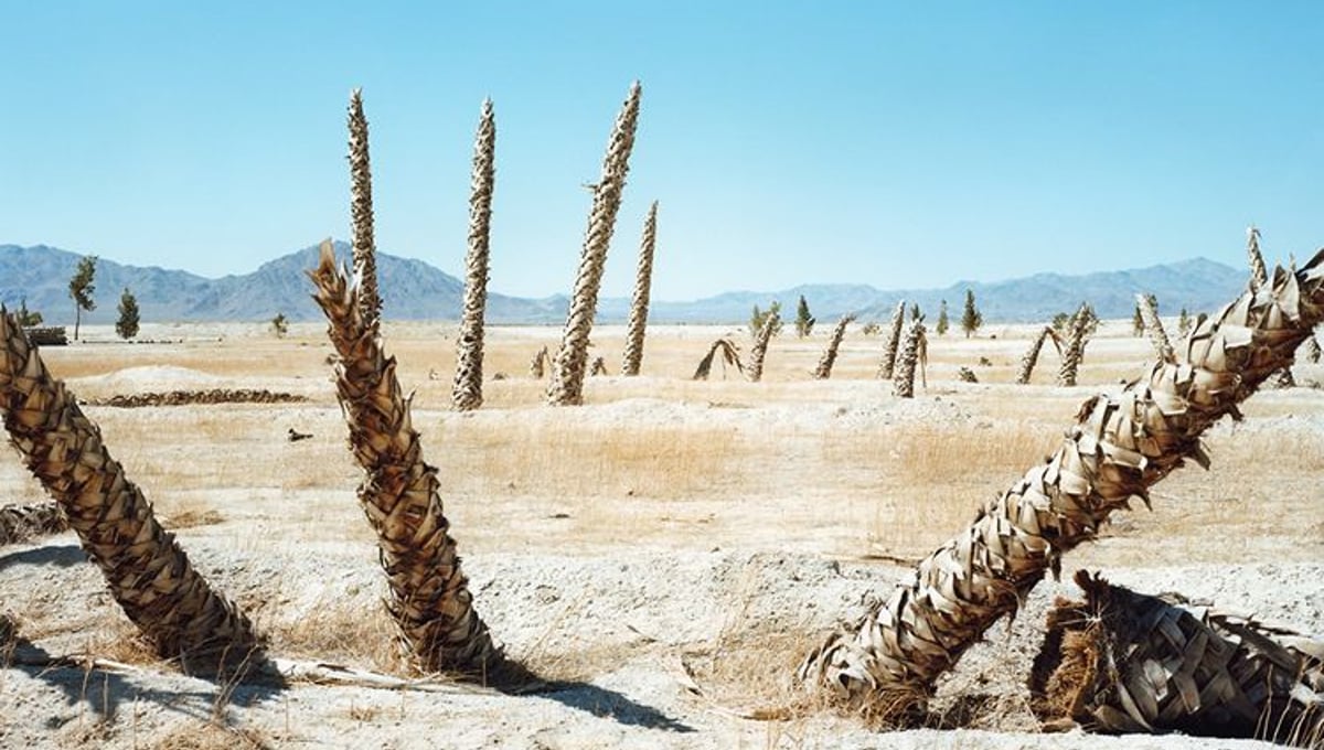 Lucerne Valley, CA, from the series Mojave © Markus Altmann