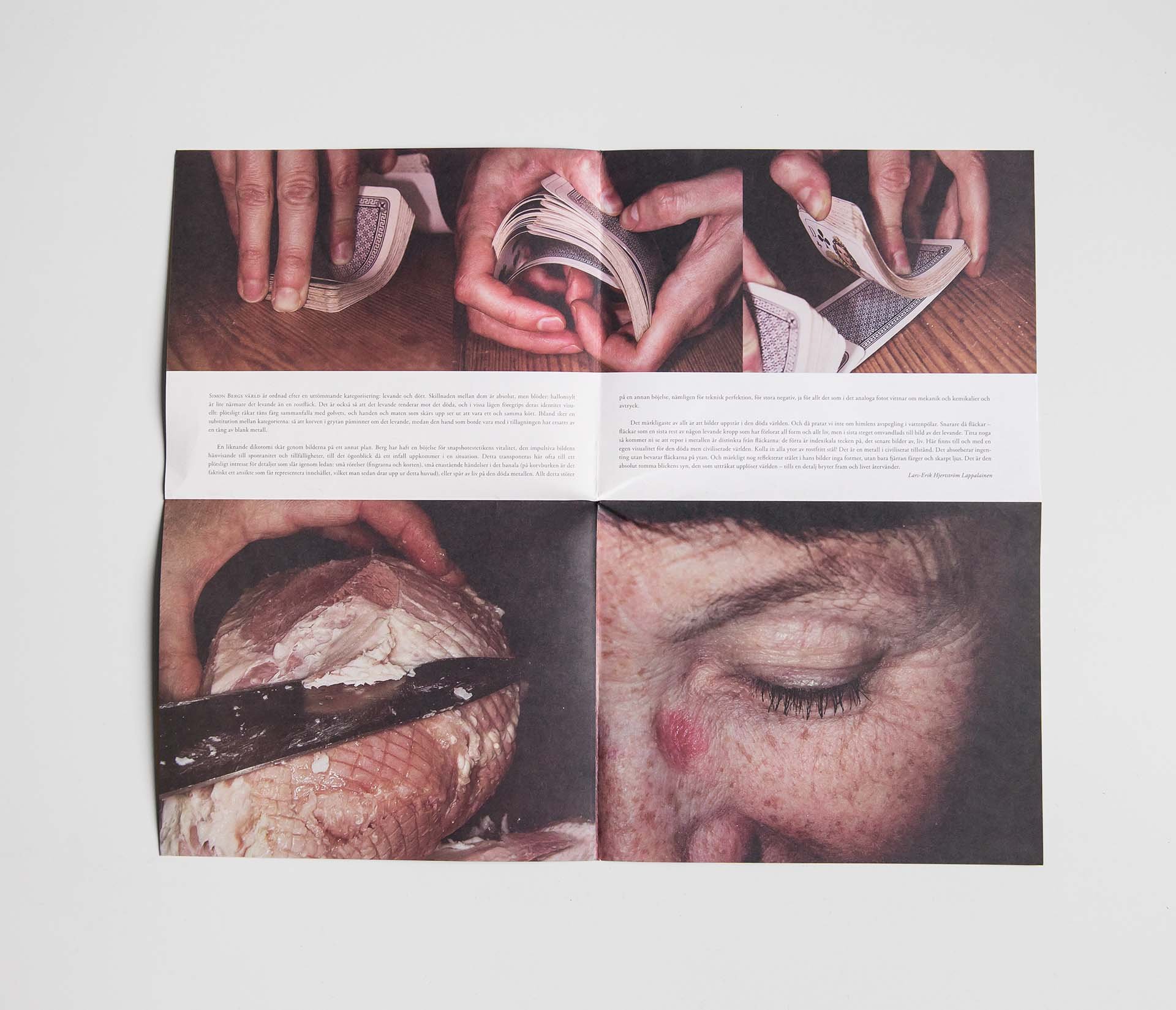Materiens motstånd (Exhibition catalog)